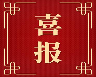 喜报！江南官方网站荣获青岛企业百强名单